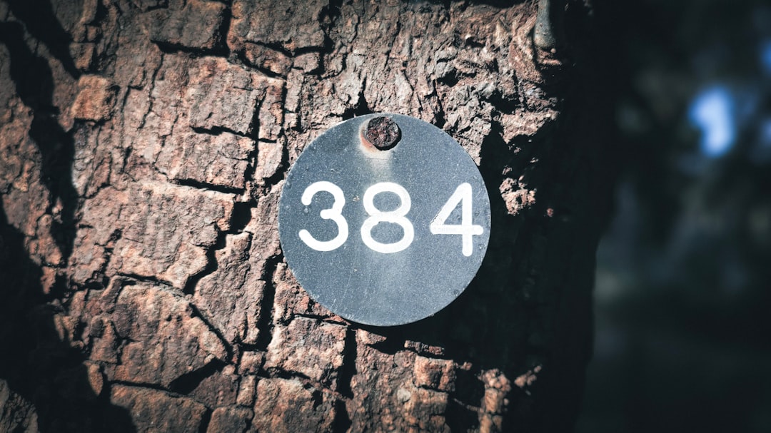 Mengenal Dv188 Slot Dana: Solusi Mudah untuk Penggemar Slot Online